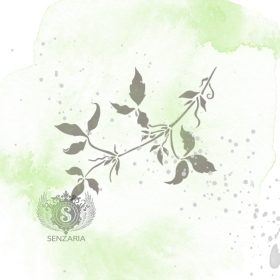 Трафарет - Клематис 2 Трафарет - Клематис 2